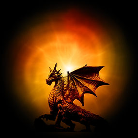 Drache im Licht