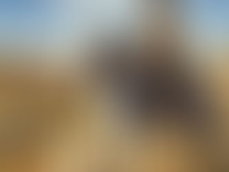 The Friendship of Jack and the Wild Horse: A Journey of Adventure and Discovery