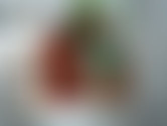 Casa do Ceramista é patrocinadora do Salão Nacional de Arte Cerâmica de Campo Largo