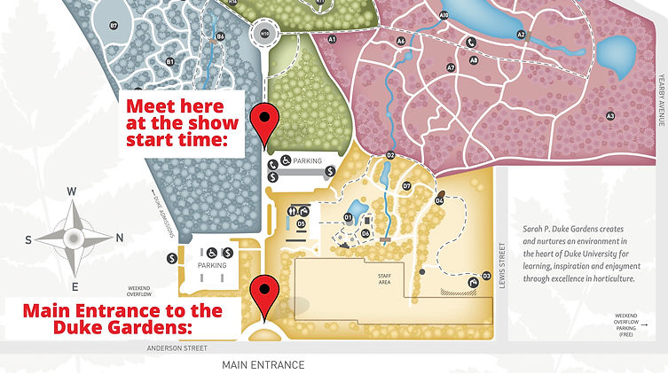 Directions This Green Plot Shall Be Our Stage.jpg