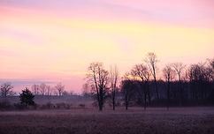 DSCF5633-9718(rev 0).jpg