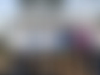 DELEGAÇÃO INDIANA VISITA MINAS GERAIS