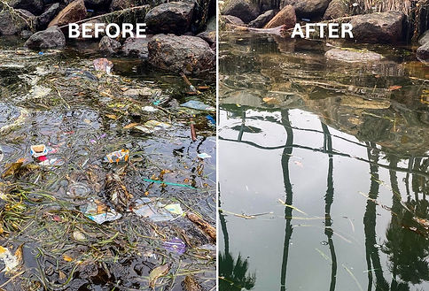 Before and after a Paddle Out Plastic cleanup