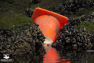 Odd item traffic cone in LA River mouth