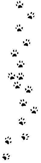 paws