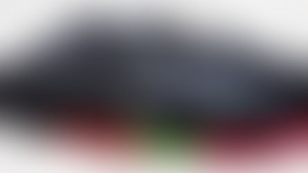 Faldas de Ensayo 13€