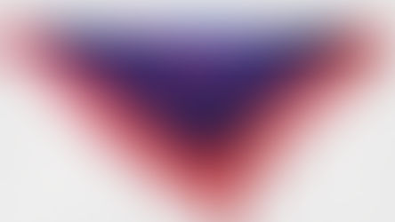 Mantón bordado manila adulto 6,50€