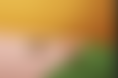 Bea Bonafini and Paloma Proudfoot are both both in group show Tender Touches at AMP Gallery ~ showin