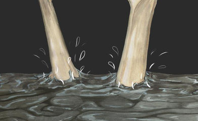 Hannah Lees and Victoria Adam are contributing to the next Art Licks issue and Hannah Lees will be p