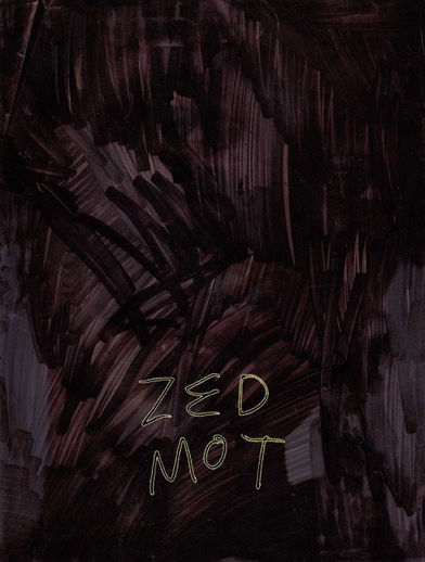 Mat Jenner & Laura Yuile: Zed Mot at Generation and Display 26 November - 19 January 2017