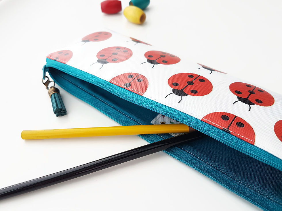 Miniature : Ladybug Case