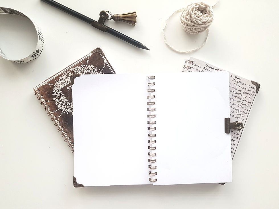 サムネイル： Edgar Allan Poe notepad set, blank journals.