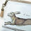 Miniaturebillede: Hare print, vegan wallet.