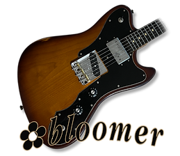 bloomer website new.png