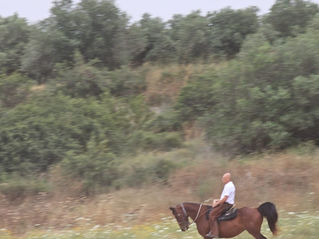רוכבים בחג השבועות
