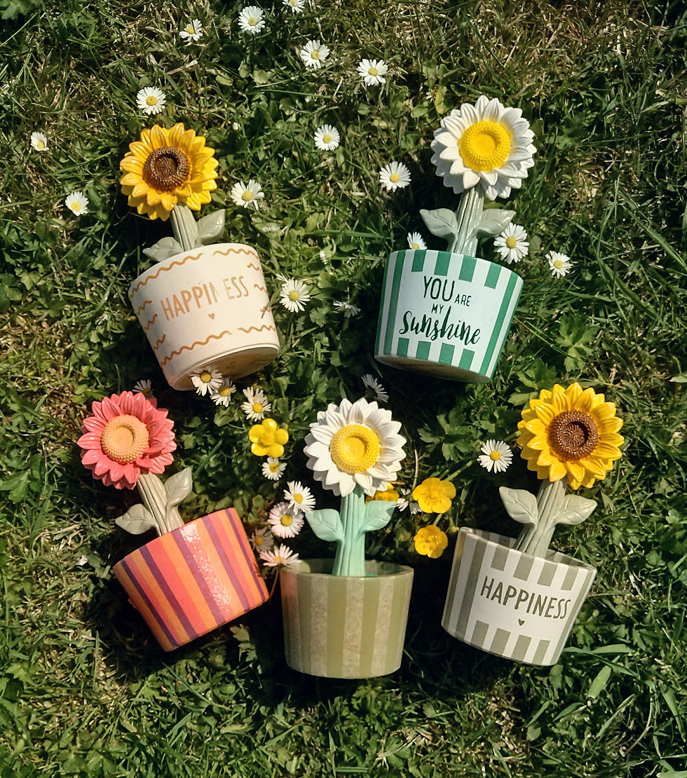Thumbnail: Madeliefje klein geel 'you are my sunshine'