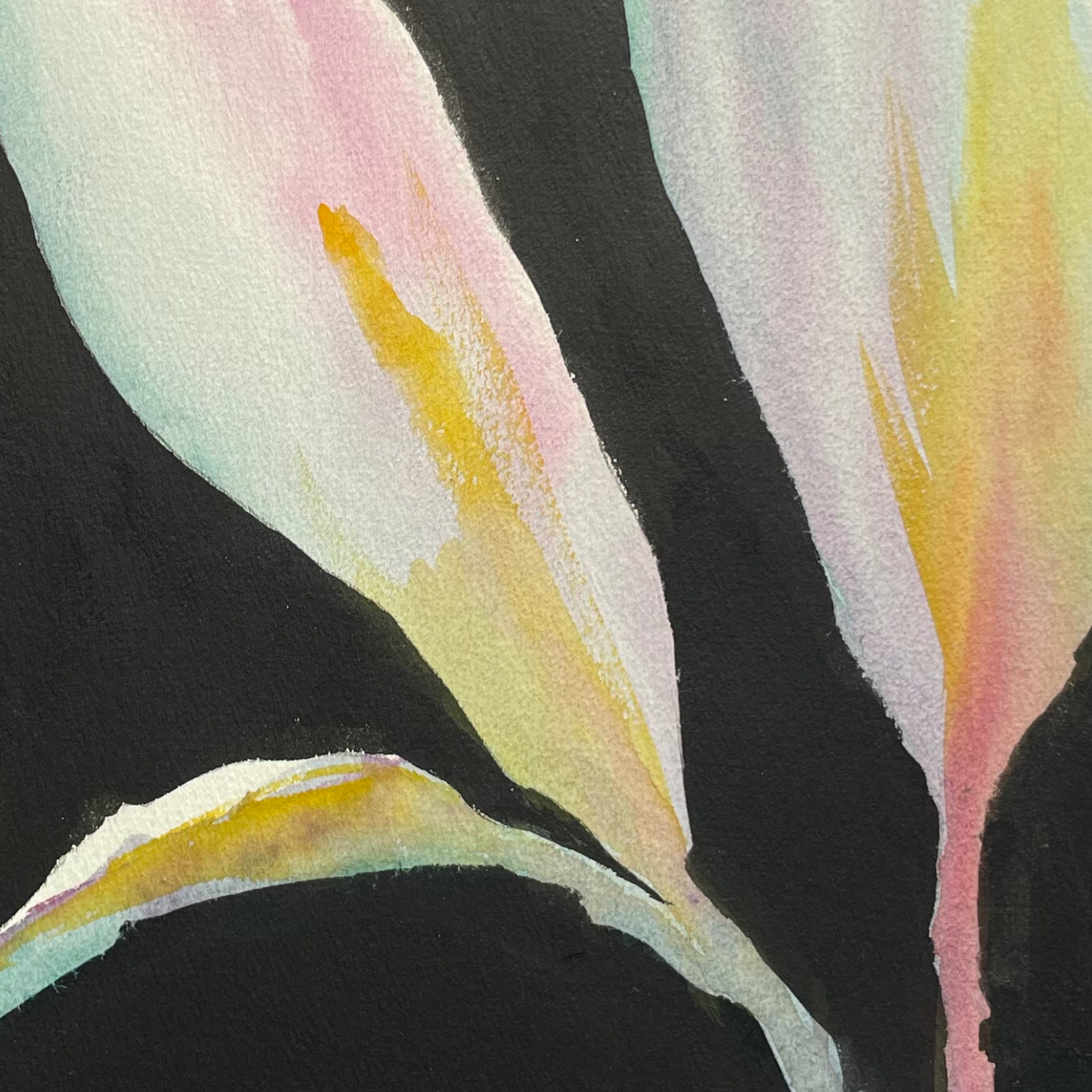 Flor da Vida 01