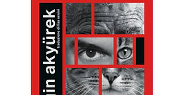 Esce in Italia Silenzio, l’opera letteraria di Engin Akyürek – edito da Bertoni