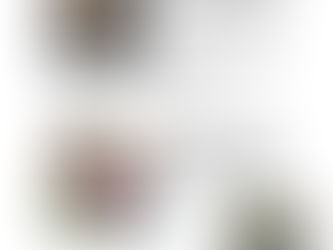 Weihnachtsbaum schmücken in Plockhorst am 30.11.2025