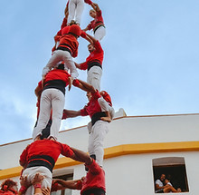 Team Performance