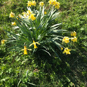 Addendum to My Celtic Journey 26- a