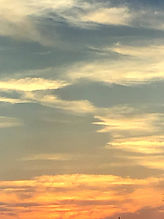 IMG_1539.jpeg