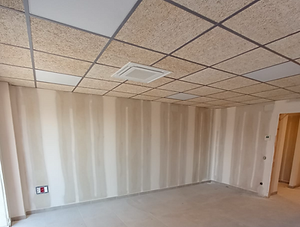 pladur igualada guix laminat fals sostre desmuntable