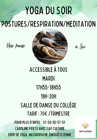 Yoga POSTURESRESPIRATIONMEDITATION (5).png