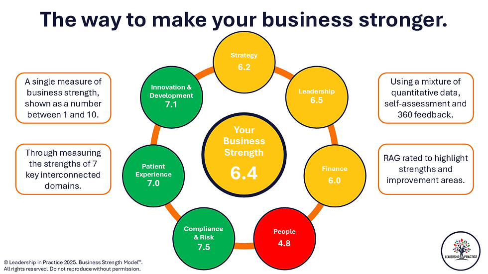 Example Business Strength assessment showing overall and domain scores.