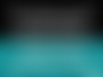  Enhanced Access Guide for Primary Care Network Leaders 