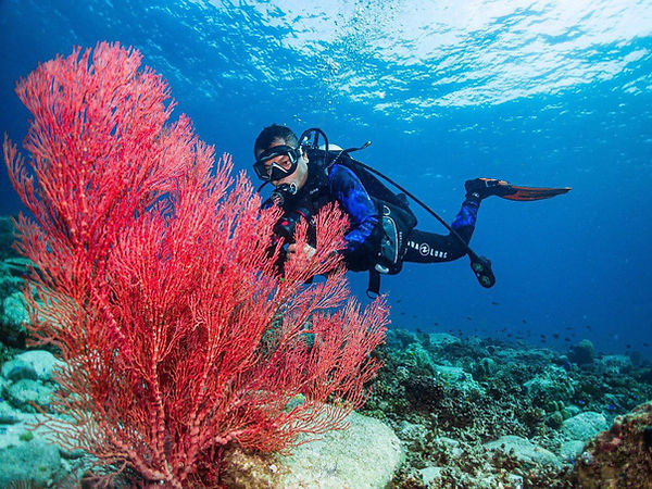 cambodia-diving-tours-koh.jpg