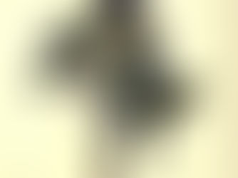 Notas Sobre Um Corpo Cansado