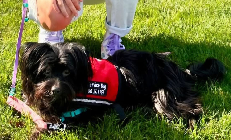 When I was a collegiate runner, Feather was right by my side every step of the way.