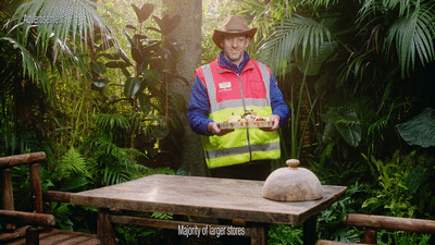 TESCO | "I'm a Celeb" Gingerbread Christmas