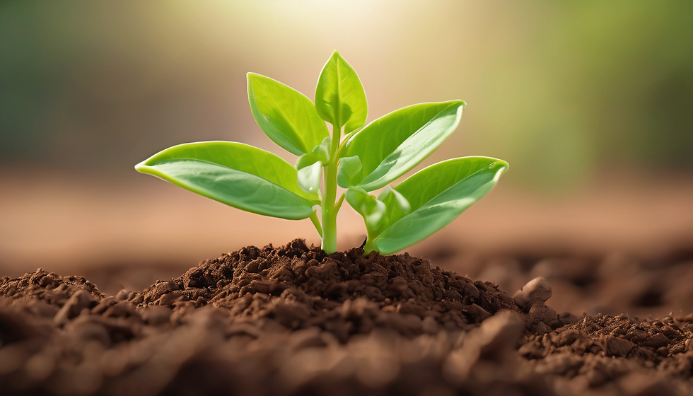 Sustainable Living and Community Conference