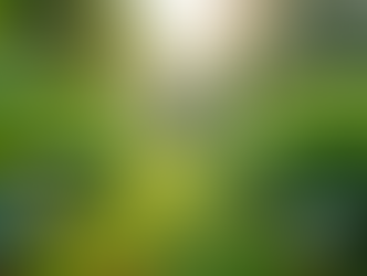 Sustainable Living: A Mission of Compassion and Care