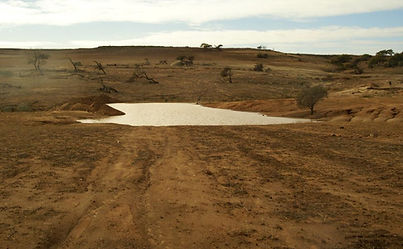 Yanget Farm- Denuded land