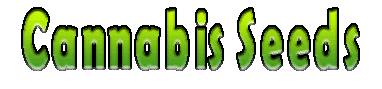 Cannabis Seeds