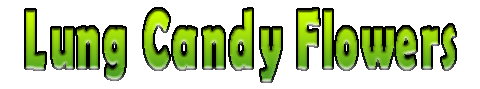 lungcandy.gif