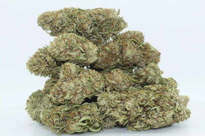 The White CBG Flowers