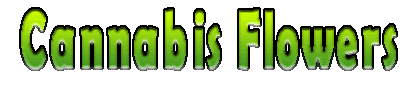 Cannabis Flowers