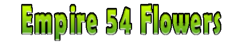 empire54.gif