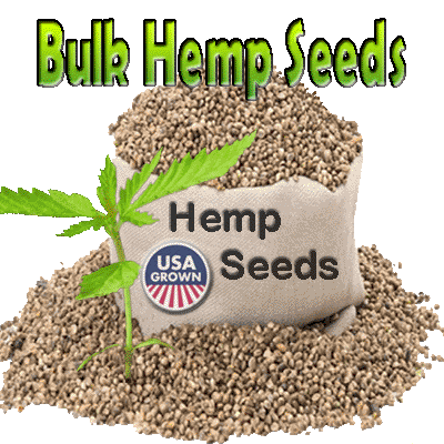Bulk Hemp Seeds