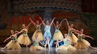 RCB Nutcracker.webp