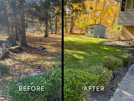 leaf banda _edited.png