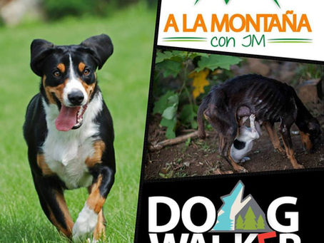 Caminata Canina, juntos a ayudar