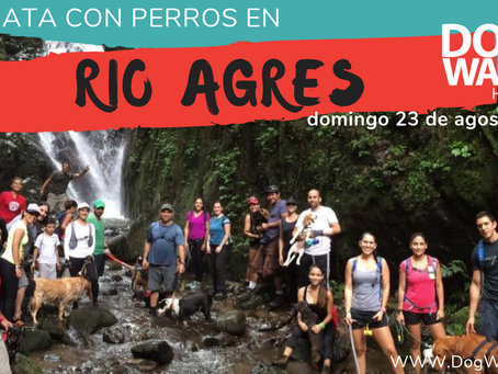 DogWalkerCR Hiking Río Agres y Catarata
