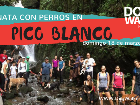 DogWalkerCR Hiking Pico Blanco
