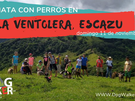 DogWalkerCR Hiking 11 noviembre - La Ventolera.