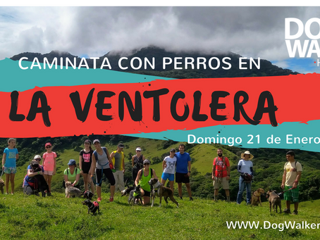 DogWalkerCR Hiking 21 Enero - La Ventolera.